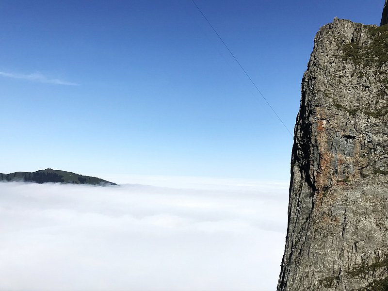 Der Weg zur Berufung